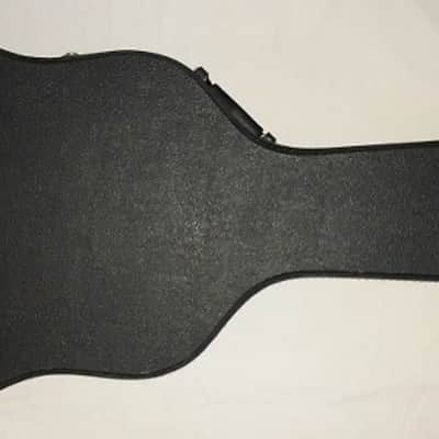 Alvarez 5019 AV Midnight special electric/ acoustic with Nice Hard Case image 7