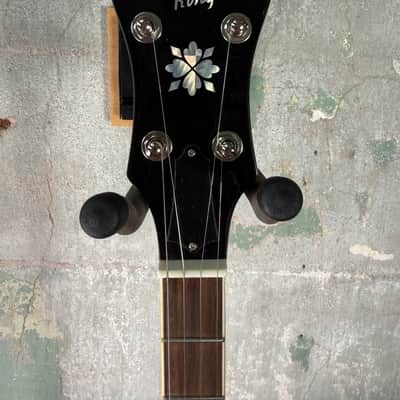 Recording King RK-R20 Songster Resonator Banjo image 7