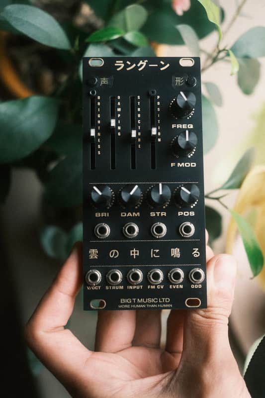 Mutable Instruments Rings