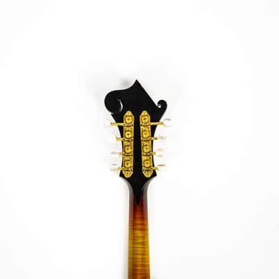 Flatiron F5 Master Model Owned by Matt Freeman Of Rancid image 6