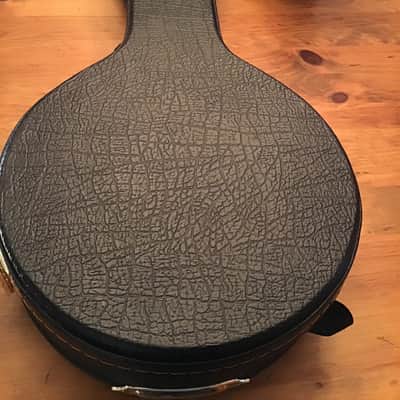Rare Trinity College TM450, Carved Top, Solid Wood, Celtic Mandolin image 10