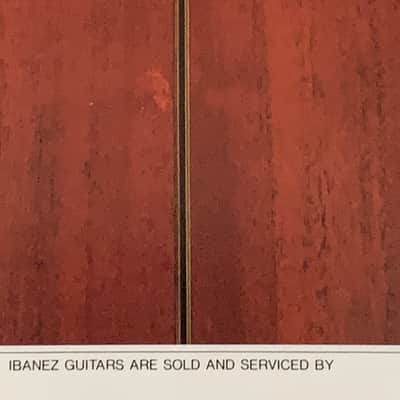 Ibanez Performance Series Acoustic Brochure 1986 image 4