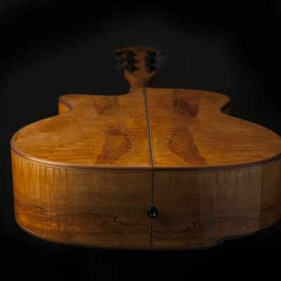 Washburn WCG66SCE Comfort Series Grand Auditorium with Fishman. New with Full Warranty! image 8
