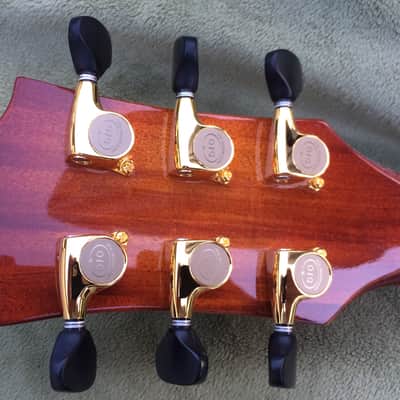 Walsh electric 2018 Amber Burst image 8