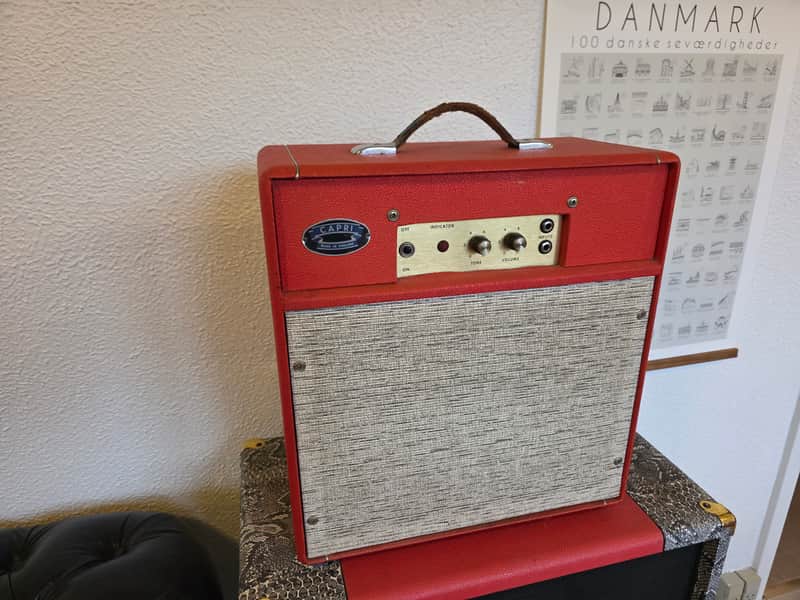 Marshall CAPRI RARE Vintage 60s Guitar Combo Amp Artist Owned by Whitesnake Bernie Marsden 1960's amplifier image 1