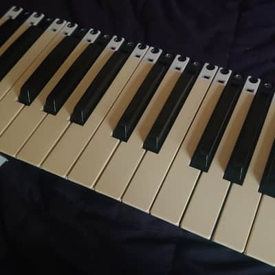 DSI Prophet 12 Keybed