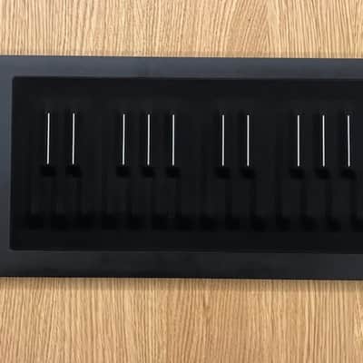 ROLI Seaboard RISE 25 image 1