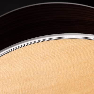 Taylor Legacy 815e image 18