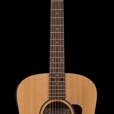 Taylor BBTe #05050 (Demonstration Model) image 5