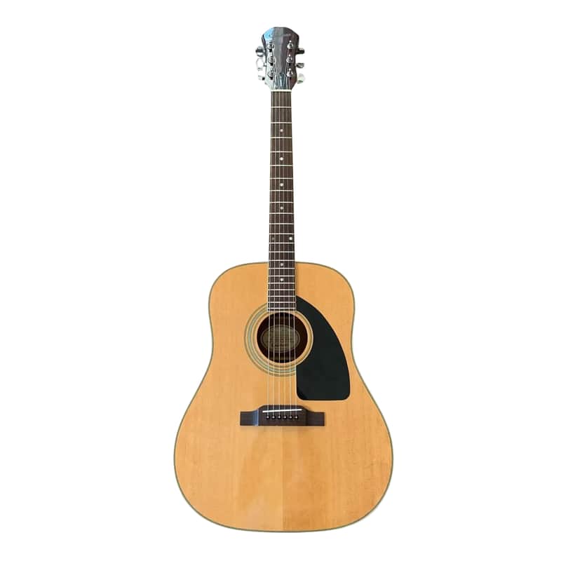 Epiphone PR-300 image 1