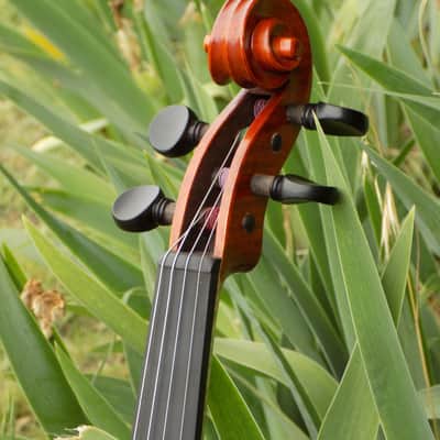 Crow Creek Fiddles Handmade Professional Violin, Red-Brown, With Beautifully Flamed Maple! image 6