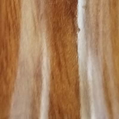 8 Fehr Soprano flute image 25