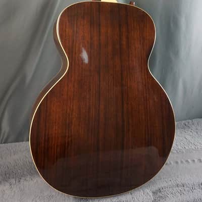Aria Elecord FE-60 w/ Built-In Electronics w/ Hard Case image 3
