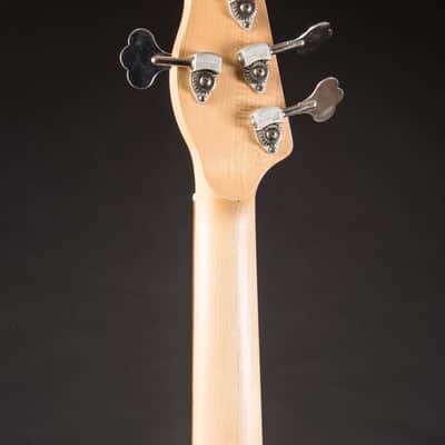 Alien Audio PP 5-String w/HSC image 5