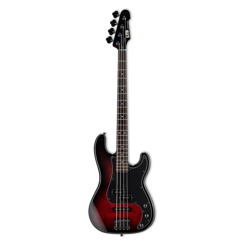 ESP LTD Surveyor-204DX image 1