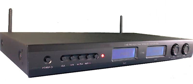 Bluebird BBT-W02 2.4G Wireless Microphones. Black image 1