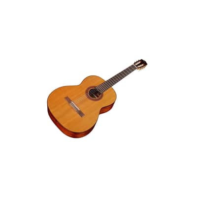 Cordoba C5 6-String Classical Acoustic Guitar (Natural) image 5
