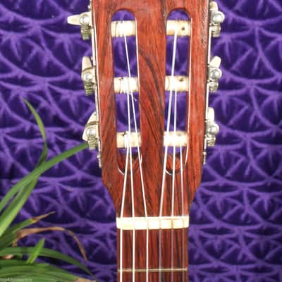 Giannini GN50 Classical Guitar Vintage 1965 High Quality Made In Brazil! image 5