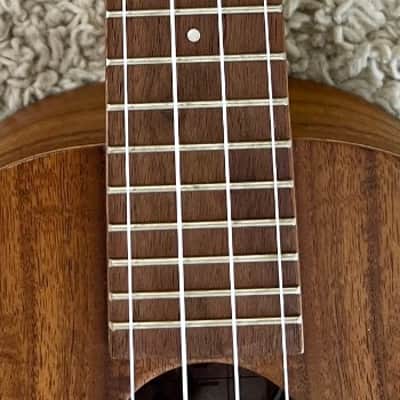 Luna Model UKE ACC Exotic Flamed Acacia Concert Size Ukulele -  Demo image 7