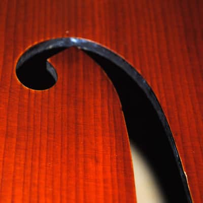 Eastman VB200 7/8 Scale Upright Double Bass image 2