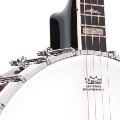 Gold Tone IT-250 Vintage-Style Armrest Maple Neck Openback 4-String Irish Tenor Banjo w/Hardshell Case image 7