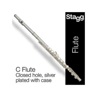 Stagg WS-FL111 C Flute Closed Holes Offset G Split E w/Soft Case, Cleaning Swab, Cloth & Gloves image 1