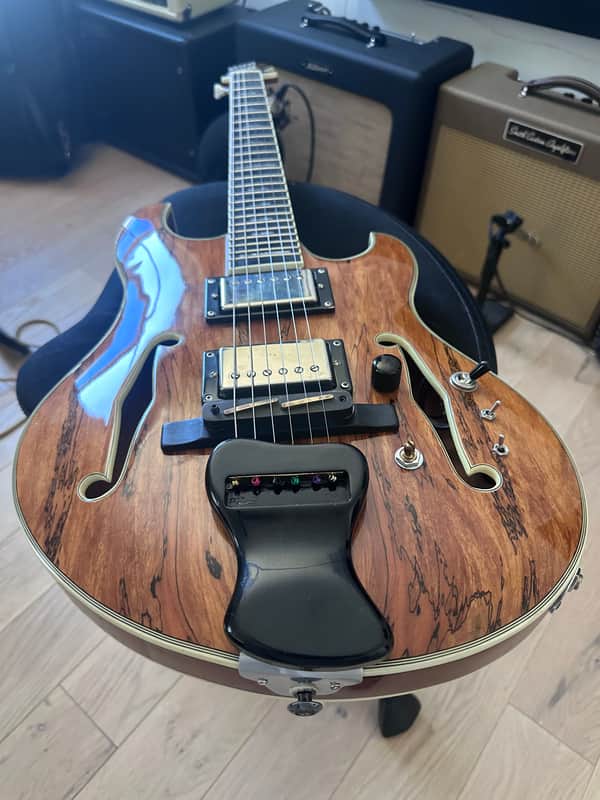 Olson guitar image 1