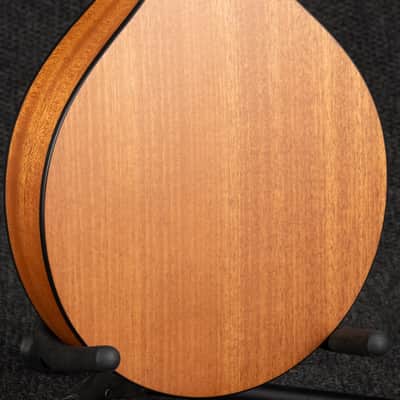 Eastman M104-NAT: PCH A Style Mandolin - Natural image 10