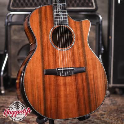 Taylor PS14ce-N Honduran Rosewood/Sinker Redwood Nylon Acoustic/Electric Guitar with Hardshell Case image 1