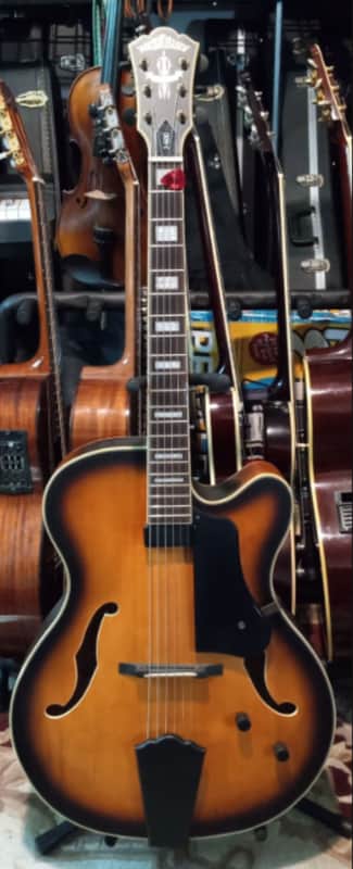 Washburn J600 image 1