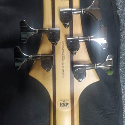 ESP LTD ACTIVE 5 string Bass Spalted Maple with EXTRAS **minty** image 6