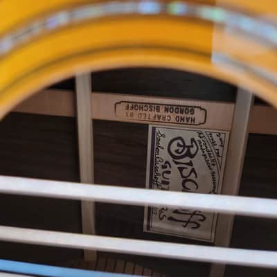 Bischoff Acoustic Guitar 9-String (not 12-String) Custom Artist Series Luthier Hand-Crafted 2013 Sunburst Adirondack Madagascar RW Excellent! image 14