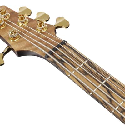 Ibanez IV1SR Visions SR Electric Bass 5-String + Case image 16