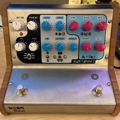 Neon Egg Planetarium 3 2022 - Silver | Reverb