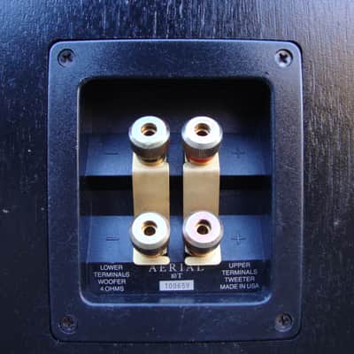 Aerial Acoustics Model 10T 3-Way Floor Speakers (Matched Pair) ~ Rare image 15