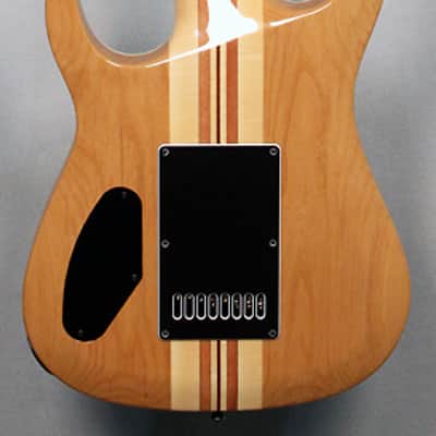 Halo Custom Guitars MERUS, 8-String Guitar, Evertune, DiMarzio Ionizer Pickups image 2