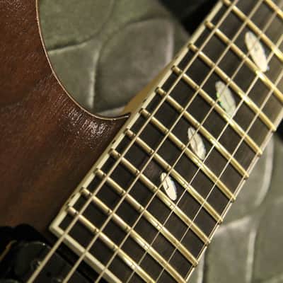 Caparison Dellinger II FX-WM  Natural image 5