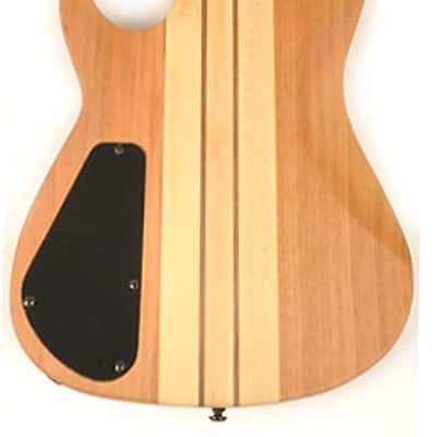 Agile Pendulum 9 String Fan Fret Multi-Scale Guitar with Kahler Bridge Elite 92527 EB CP Nat Mah image 3