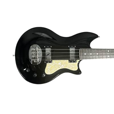 Lakland Skyline HB-30 Short Scale Hollow Body, Black Gloss / Pau Ferro 7.5 LBS *IN STOCK* image 1