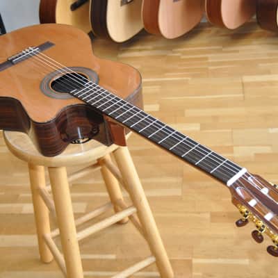 KREMONA F65CW48 Fiesta 65 CW / Crossover Nylon Electro / Performer Series / Made in Europe / 25-050-8-03 imagen 3