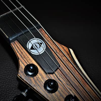 Oddities Guitars The Omen 2019 image 7