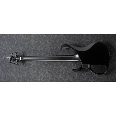 Ibanez BTB625EX Iron Label 5-String Bass w/ Bartolini Pickups - Black Flat image 10