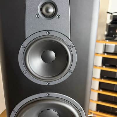Dynaudio Contour 60.  Super Floorstanding Speakers image 6