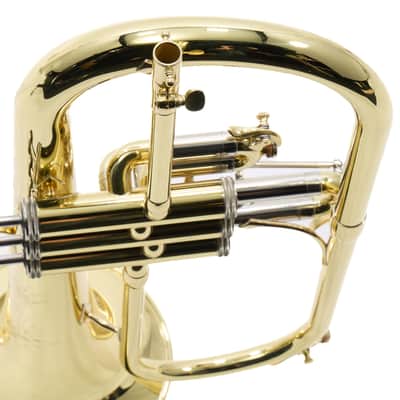S.E. Shires Model Q19 Q-Series Professional Flugelhorn BRAND NEW image 12
