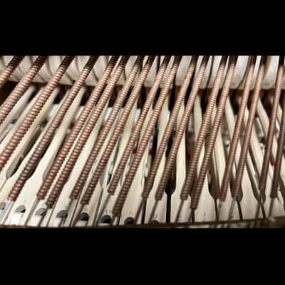 Steinway & Sons Model M – Ebony Grand Piano – 5'7 image 8
