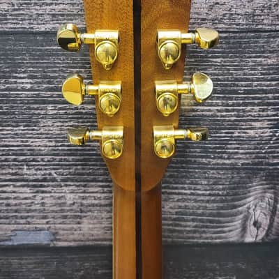 Zager ZAD9000MCE Acoustic Electric Guitar (San Antonio, TX) image 6