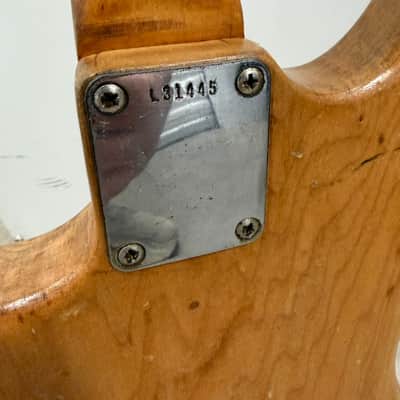 Immagine Fender Musicmaster 1964 - Natural Refinish - 3