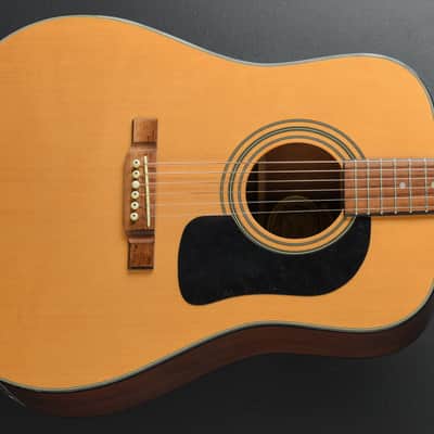 Washburn D-10 '98 image 1