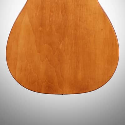 Epiphone Dobro Hound Dog Roundneck Resonator Guitar, Vintage Brown image 6