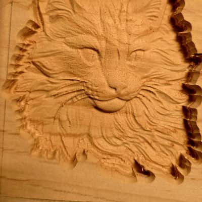 Body mit Katze Stratocaster Stil E-Gitarre image 2